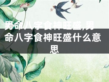 男命八字食神旺盛,男命八字食神旺盛什么意思