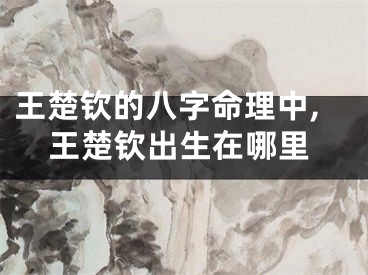 王楚钦的八字命理中,王楚钦出生在哪里