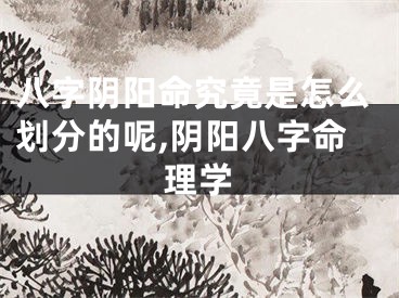 八字阴阳命究竟是怎么划分的呢,阴阳八字命理学