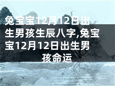 兔宝宝12月12日出生男孩生辰八字,兔宝宝12月12日出生男孩命运
