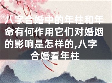八字合婚中的年柱和年命有何作用它们对婚姻的影响是怎样的,八字合婚看年柱