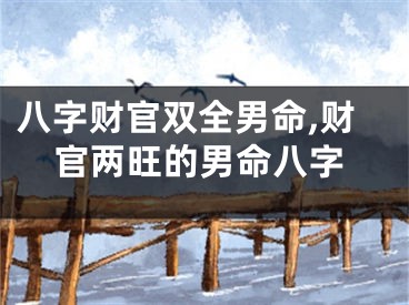 八字财官双全男命,财官两旺的男命八字