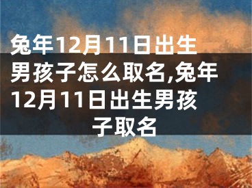 兔年12月11日出生男孩子怎么取名,兔年12月11日出生男孩子取名