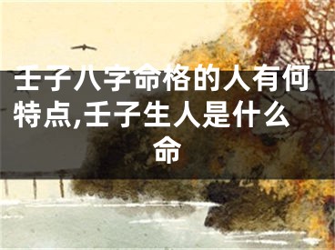 壬子八字命格的人有何特点,壬子生人是什么命