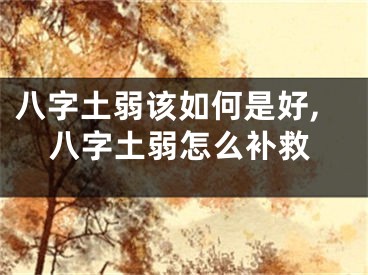 八字土弱该如何是好,八字土弱怎么补救