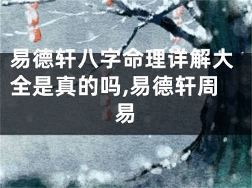 易德轩八字命理详解大全是真的吗,易德轩周易