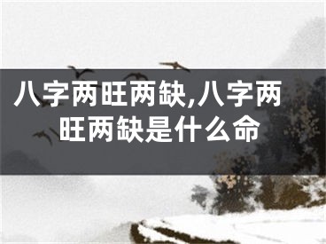 八字两旺两缺,八字两旺两缺是什么命