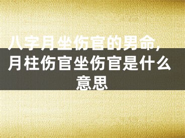八字月坐伤官的男命,月柱伤官坐伤官是什么意思