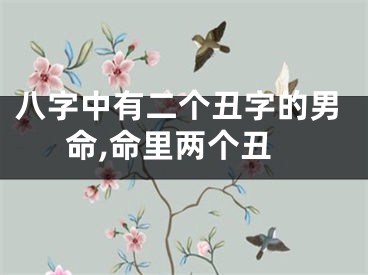 八字中有二个丑字的男命,命里两个丑