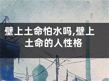 壁上土命怕水吗,壁上土命的人性格