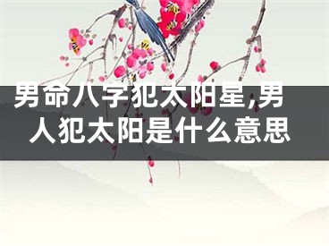 男命八字犯太阳星,男人犯太阳是什么意思
