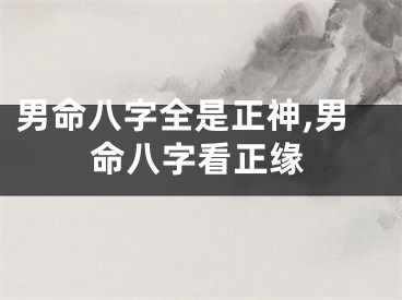 男命八字全是正神,男命八字看正缘