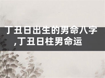 丁丑日出生的男命八字,丁丑日柱男命运