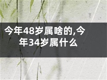 今年48岁属啥的,今年34岁属什么
