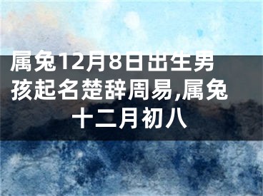 属兔12月8日出生男孩起名楚辞周易,属兔十二月初八