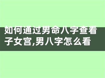 如何通过男命八字查看子女宫,男八字怎么看