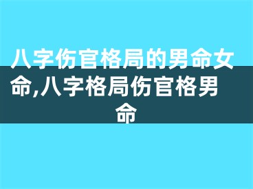 八字伤官格局的男命女命,八字格局伤官格男命