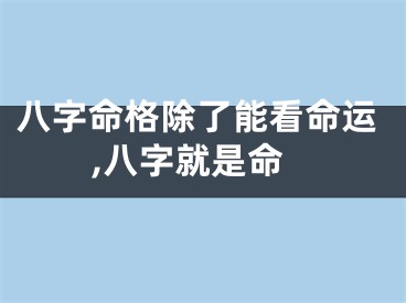 八字命格除了能看命运,八字就是命