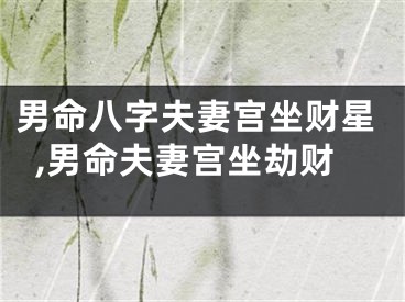 男命八字夫妻宫坐财星,男命夫妻宫坐劫财