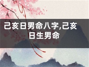 己亥日男命八字,己亥日生男命