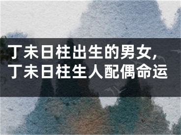 丁未日柱出生的男女,丁未日柱生人配偶命运