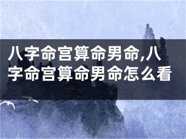 八字命宫算命男命,八字命宫算命男命怎么看