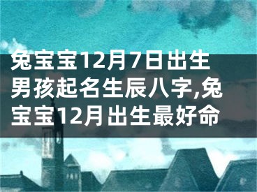 兔宝宝12月7日出生男孩起名生辰八字,兔宝宝12月出生最好命