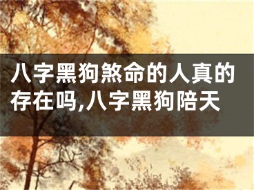 八字黑狗煞命的人真的存在吗,八字黑狗陪天