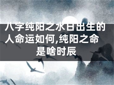 八字纯阳之水日出生的人命运如何,纯阳之命是啥时辰