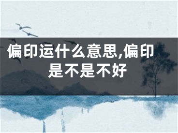 偏印运什么意思,偏印是不是不好