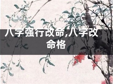 八字强行改命,八字改命格