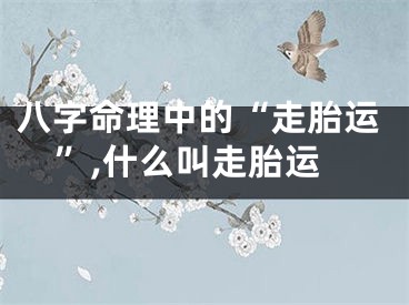 八字命理中的“走胎运”,什么叫走胎运