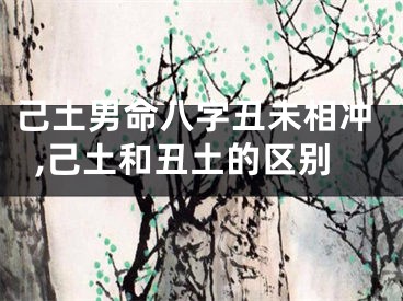 己土男命八字丑未相冲,己土和丑土的区别