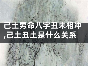 己土男命八字丑未相冲,己土丑土是什么关系