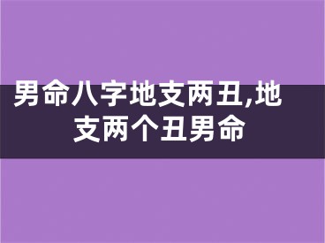 男命八字地支两丑,地支两个丑男命