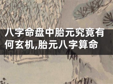 八字命盘中胎元究竟有何玄机,胎元八字算命