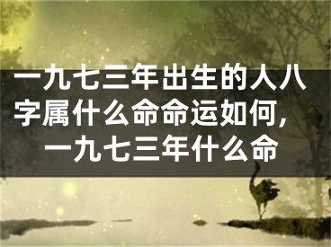 一九七三年出生的人八字属什么命命运如何,一九七三年什么命
