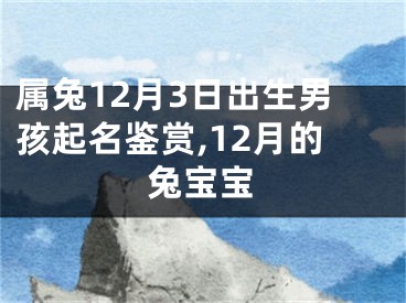 属兔12月3日出生男孩起名鉴赏,12月的兔宝宝