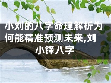 小刘的八字命理解析为何能精准预测未来,刘小锋八字