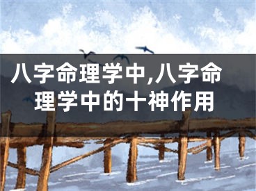 八字命理学中,八字命理学中的十神作用
