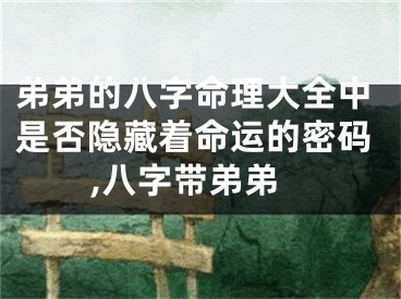 弟弟的八字命理大全中是否隐藏着命运的密码,八字带弟弟