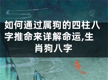 如何通过属狗的四柱八字推命来详解命运,生肖狗八字