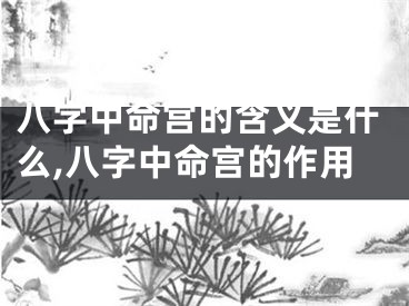 八字中命宫的含义是什么,八字中命宫的作用