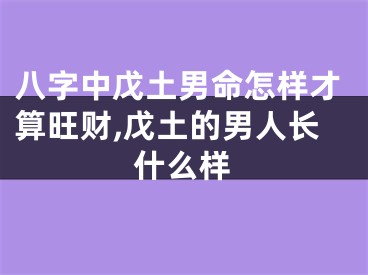 八字中戊土男命怎样才算旺财,戊土的男人长什么样