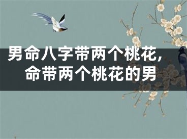 男命八字带两个桃花,命带两个桃花的男