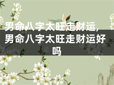 男命八字太旺走财运,男命八字太旺走财运好吗