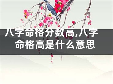 八字命格分数高,八字命格高是什么意思
