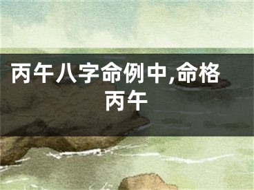 丙午八字命例中,命格丙午