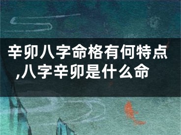 辛卯八字命格有何特点,八字辛卯是什么命