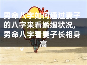 男命八字如何通过妻子的八字来看婚姻状况,男命八字看妻子长相身高
